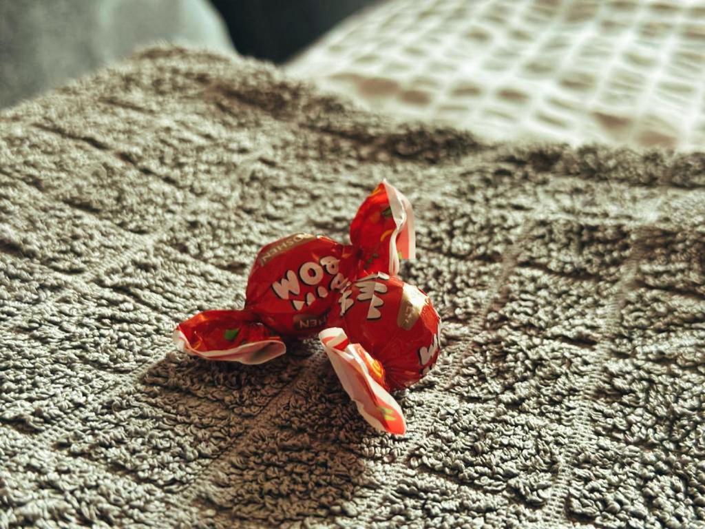 Neo - Trei - Cosy Studio Temeşvar Dış mekan fotoğraf